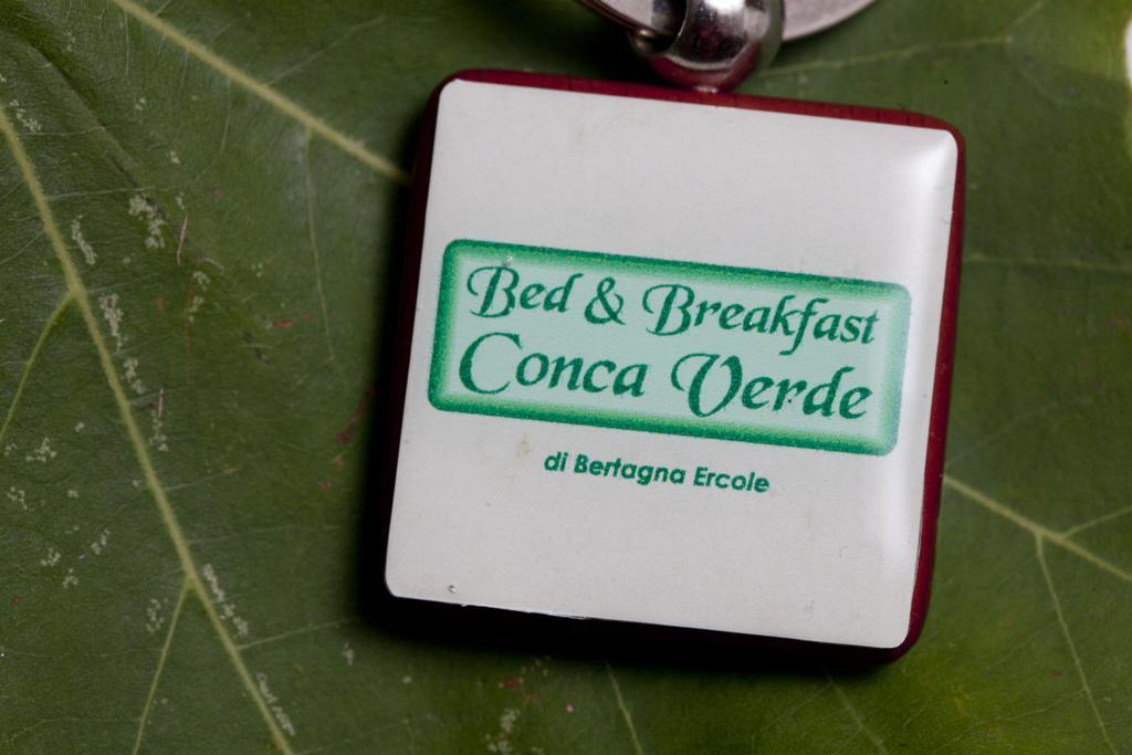 Bed & Breakfast Conca Verde Cavriana Bagian luar foto